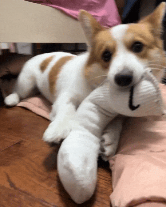 了！几千欧的东西说用就用开元棋牌网站也是好起来(图4)